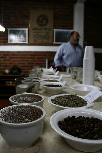 Jose Antonio at the cupping lab Jose Antonio at the cupping lab