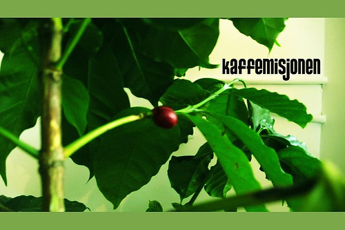 Kaffemisjonen Kaffemisjonen