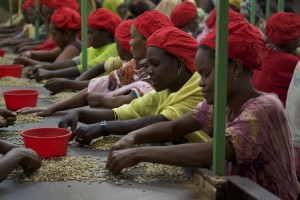hand sorting ladies