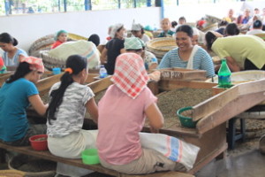 Another sorting stage