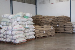wet bags and dry bags