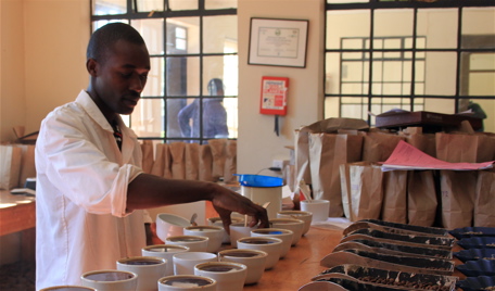 Ephrahim setting up the cupping
