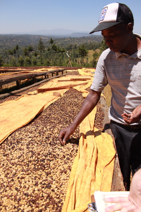 Ngunguru manager Franklin Wanjau Kario